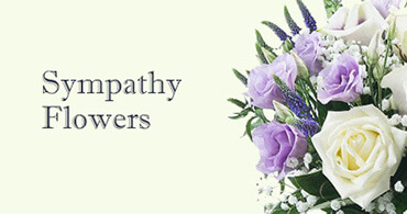 Sympathy Flowers Marylebone
