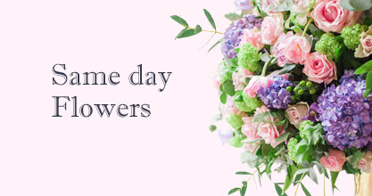 Same day Flowers Marylebone
