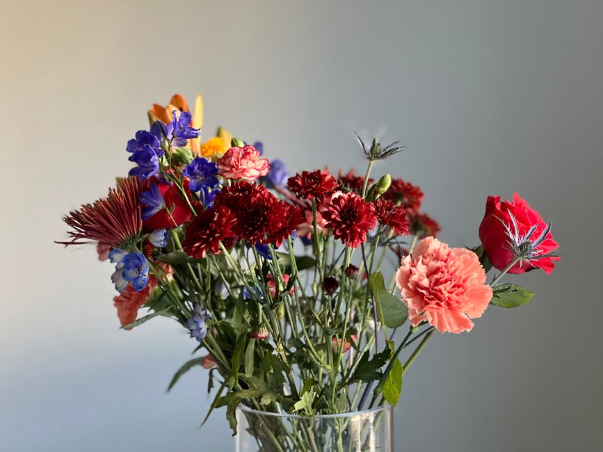 A glass vase filled with a mixed bouquet of fresh flowers arranged in a loose, natural style. The bouquet features red carnations with ruffled petals, pink carnations, deep red and white striped carna
