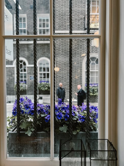 Through a multi-pane window, a rectangular flower box filled with vibrant purple and blue flowering plants is visible, featuring lush green foliage. The flowers, possibly petunias or a similar variety