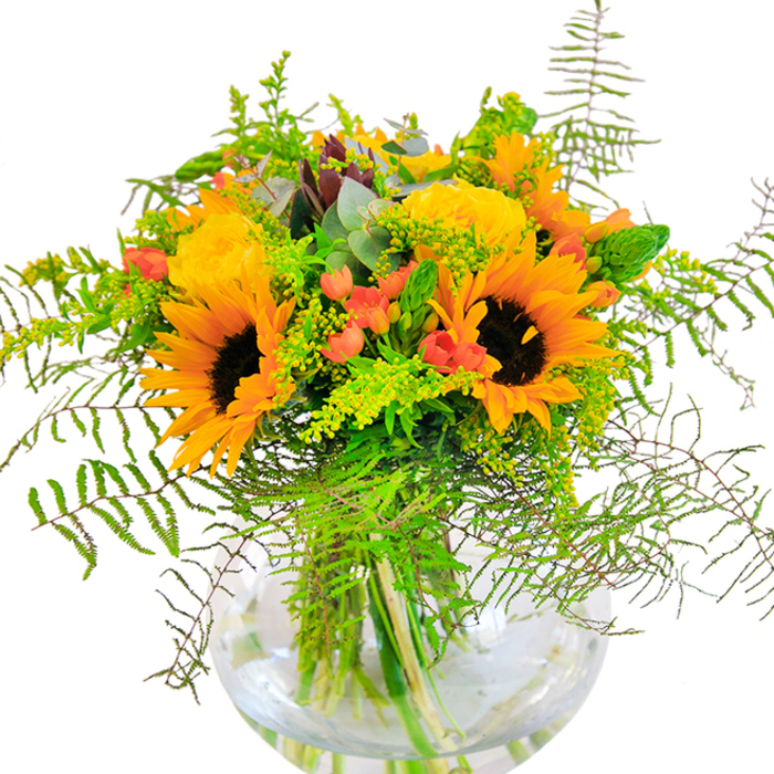 At once uplifting and refined, this glorious bouquet captures the warmth and sophistication of the Marylebone community. The arrangement's focal points-amber-faced sunflowers and plush yellow garden roses-bloom with effortless vitality, their petals layered in sumptuous spirals evoking the radiant heart of a sun-filled day. Crimson-red Hypericum berries glisten among a backdrop of lush, glossy foliage, standing out with a jubilant flair reminiscent of Marylebone's vibrant Saturday markets. Cascading feathery ferns and sprigs of goldenrod thread throughout, adding a gentle cascade and light, airy movement that calls to mind the leafy enclaves between Marylebone High Street and Regents Park. The elegance of silvered eucalyptus leaves peeks through, layering a touch of cool aromatic presence amidst the warm palette. Every detail is artfully arranged in a modern clear glass vase, slightly rounded so the network of stems is visible in a pool of pure water. When viewed in the soft light of an afternoon, the composition glows, breathing tranquillity and joy into its surroundings-a classic choice for birthdays, celebrations, or simply to grace a Marylebone home with the freshest seasonal flowers. As an experienced local florist, I find that every element recalls the area's blend of history, style, and natural beauty.