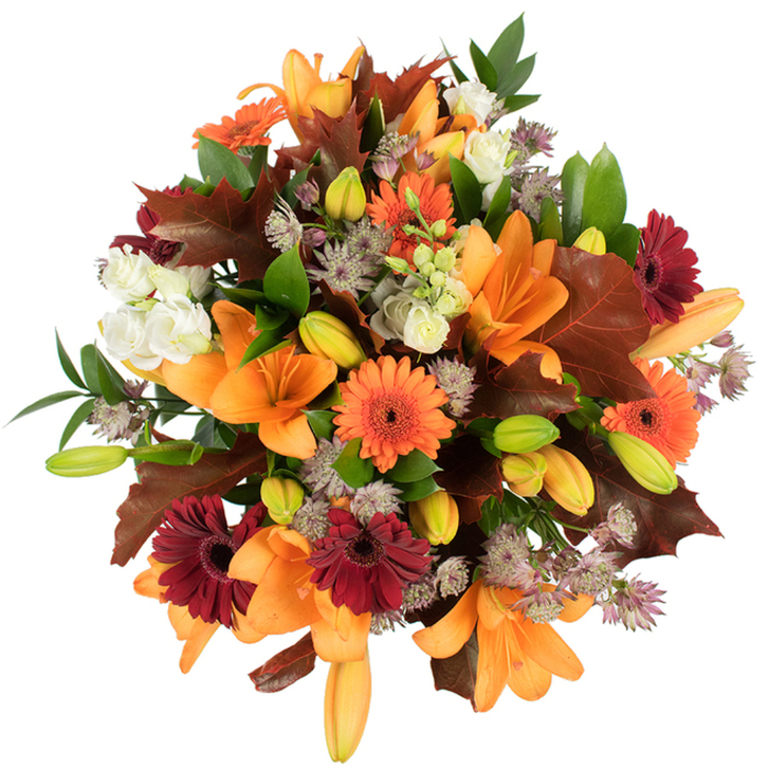 Taken from a slightly elevated perspective, this lush autumn bouquet is a careful study in warmth and texture, the sort of arrangement we often prepare at Flowers Marylebone for seasonal orders around Marylebone High Street and nearby Portman Square. Large, opened orange Asiatic lilies dominate the view, their trumpet-like petals unfurling in broad, confident curves that catch the light and reveal delicate veins. Bright orange Gerbera daisies and their deep burgundy counterparts are peppered through the design, their radiating petals forming cheerful focal points that contrast with the lilies' elegant shapes. Creamy white lisianthus provide soft, ruffled pockets of light and relief, while fine clusters of muted purple Astrantia introduce an airy, starry texture that lifts the heavier blooms. Several green-to-pale-orange lily buds nestle among the flowers, adding promise and a pleasing play of stages-from tight bud to generous bloom. The autumnal mood is reinforced by broad, lobed leaves in rich reddish-brown that resemble fallen oak leaves, their shape and muted sheen evoking crisp walks by Regent's Park. Fresh green foliage gives the bouquet structural clarity and a sense of lively freshness. The scene is evenly, brightly lit against a pristine white background, so colour and detail remain crisp; imagining the bouquet close-up, you would sense a gentle, sweet floral fragrance and the quiet rustle of leaves. This arrangement feels abundant and celebratory-perfect as a Thanksgiving centrepiece, a heartfelt seasonal gift, or to bring the comforting colours of the harvest into a Marylebone home.